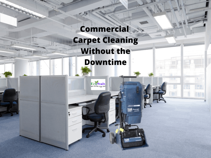 Ecosuds Host Dry Organic Carpet Cleaning in Hamilton Ontario