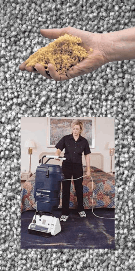 Ecosuds Host Dry Organic Carpet Cleaning in Hamilton Ontario