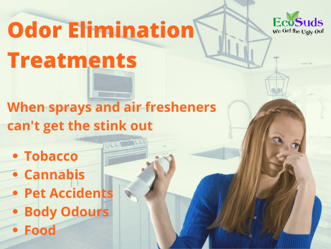 Odour Elimination Hamilton Burlington Grimsby Beamsville Vineland Ontario