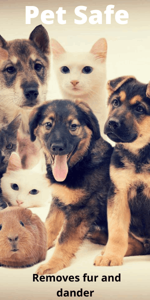 Best Carpet Cleaning Method for Dogs Cats Pets with Fur and Feathers