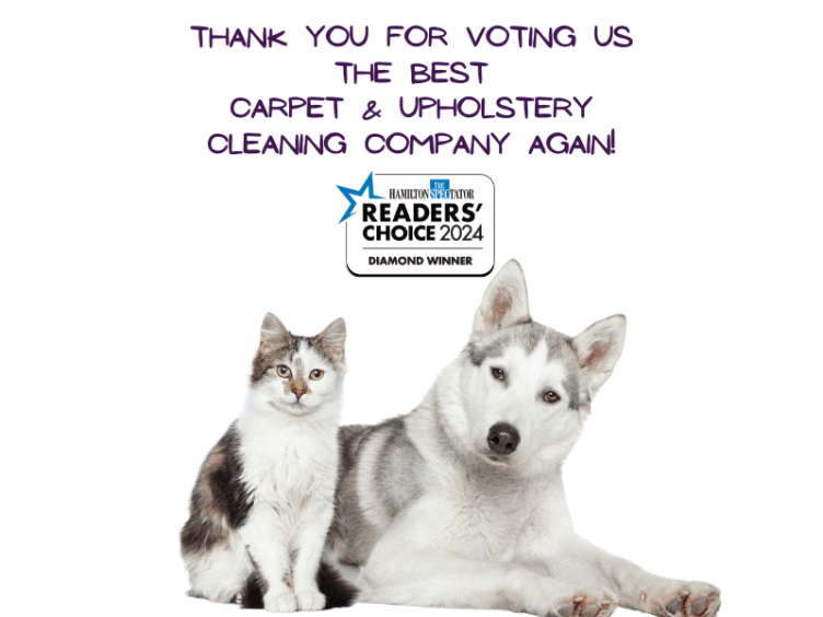 Diamond Award Best Carpet Cleaning Company Hamilton